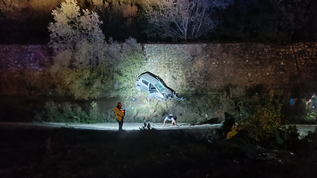 Samsun’da başıboş köpek dehşeti! Otomobil sürücüsü manevra yaptı, dereye yuvarlandı!